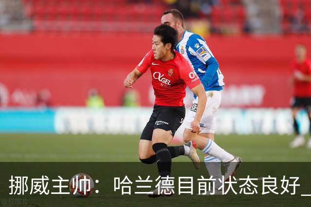 挪威主帅：哈兰德目前状态良好 他是世界上最好的射手